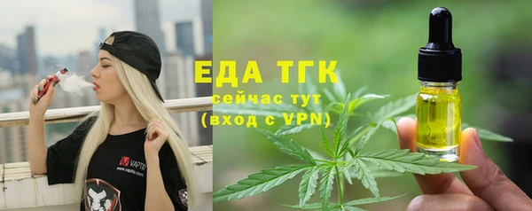 хмурый Арсеньев