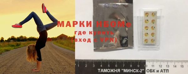 хмурый Арсеньев