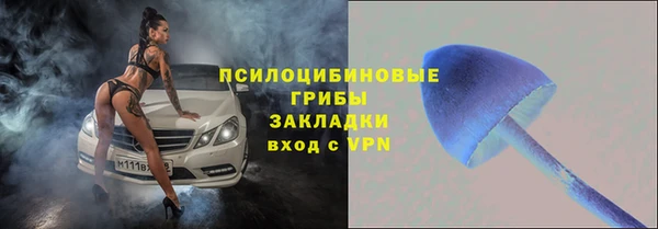 хмурый Арсеньев