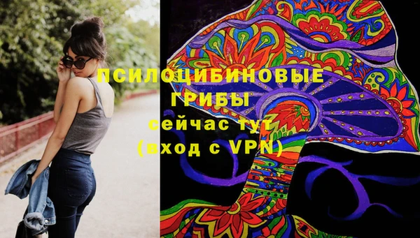 хмурый Арсеньев