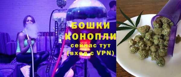 хмурый Арсеньев