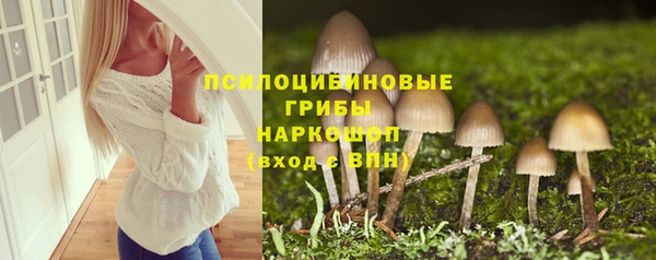 прущий лед Аркадак