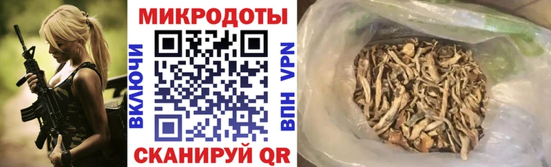 что такое Тулун Галлюциногенные грибы Psilocybine cubensis
